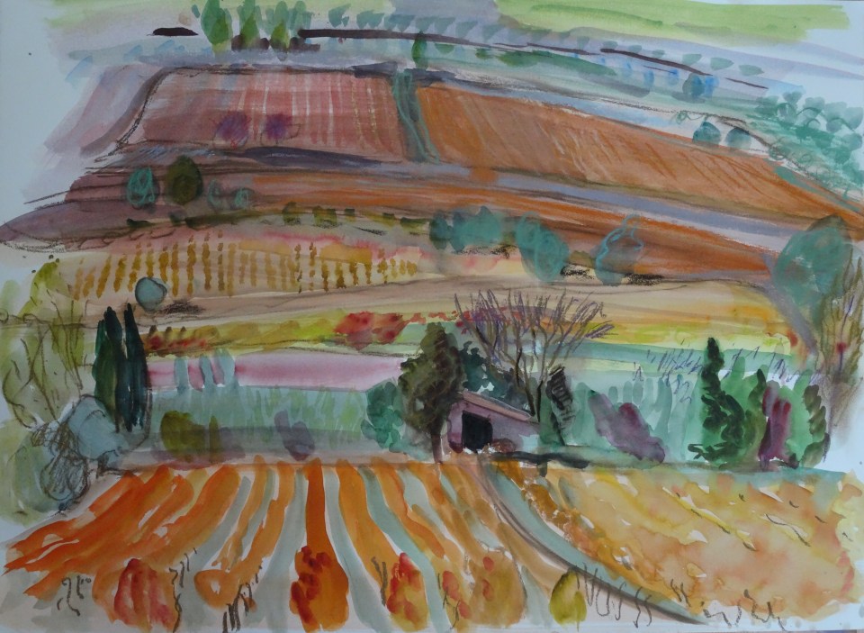 Vines near Lagrasse, watercolour 56 x 76 cm