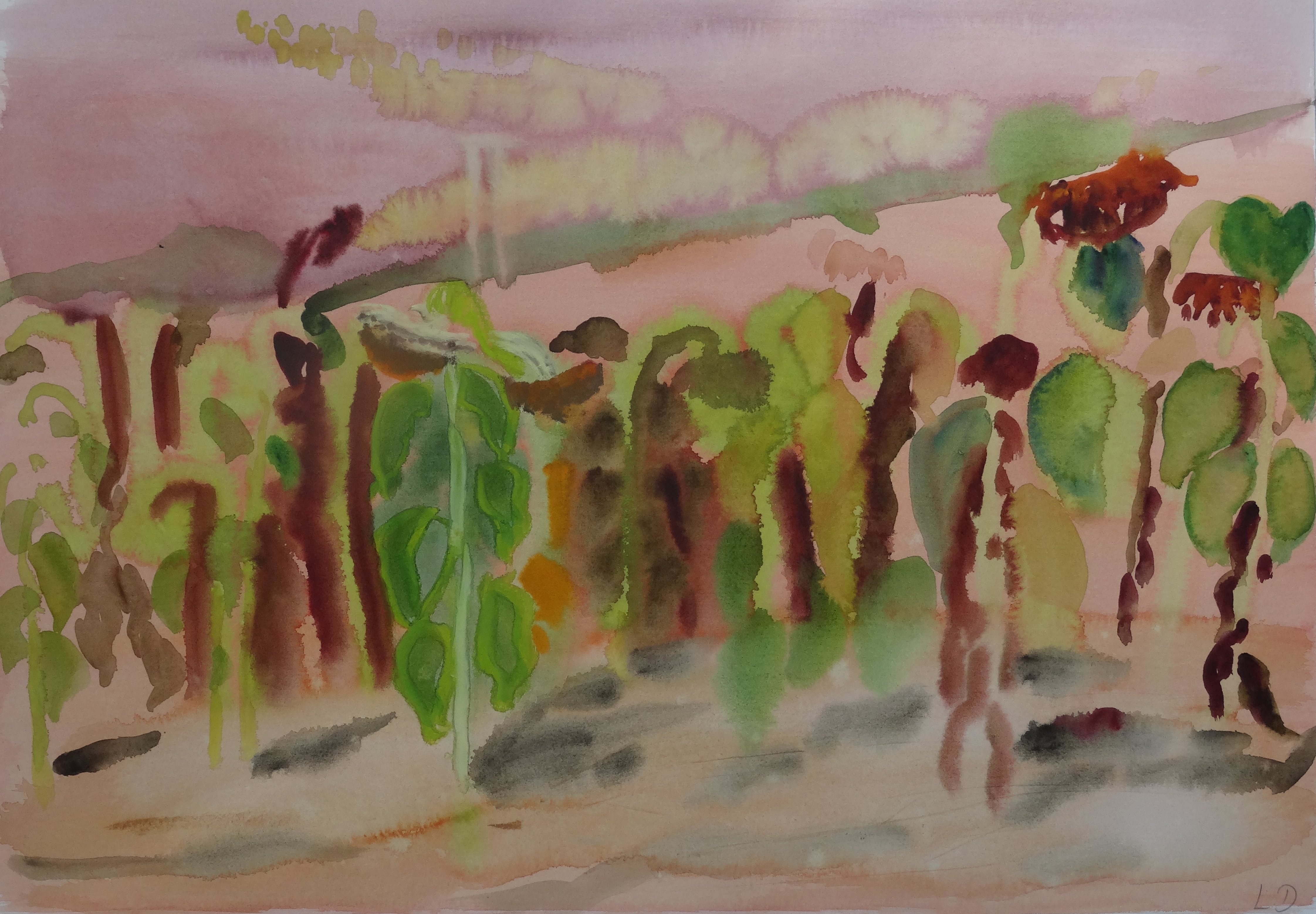 'Tournesols' aquarelle